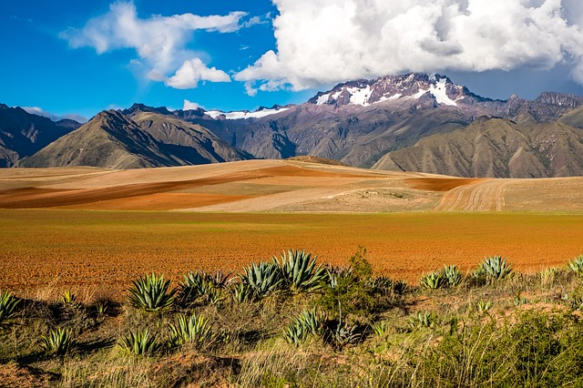 bolívie